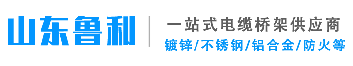 山东鲁利金属制品有限公司